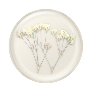 Babys Breath Pressed Flower PopGrip, PopSockets