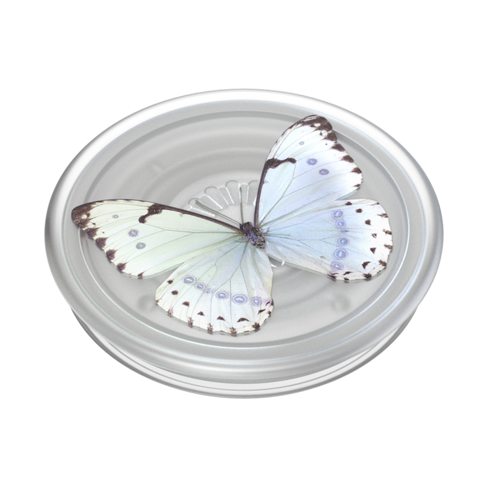 Blue Fields PopPlant PopGrip, PopSockets